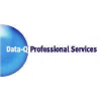 Data-Q Professional Services logo - Similar company to Data World