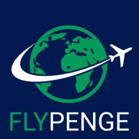 FlyPenge logo - Similar company to Hacknhustle