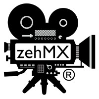 zehMX logo - Similar company to Zehn