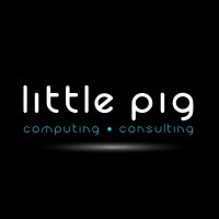 Little Pig CC logo - Similar company to Elcb Information Services (Pty) Ltd