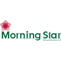 Morning Star BrandCom logo - Similar company to Uk Student Internships Ltd