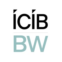 ICIB Brokerweb Insurance and Risk Advisory logo - Similar company to Izzyagents