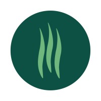 Dipit - Hot sauces logo - Similar company to Cabo Beach