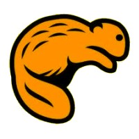 BoberIT logo - Similar company to Nativsoft