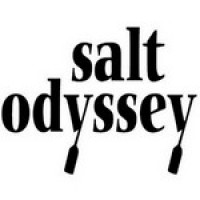 Salt Odyssey logo - Similar company to Onesys It Solutions