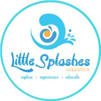 Little Splashes Swim School logo - Similar company to Swim It Right
