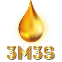 3M3S Tech Private Limited logo - Similar company to Technosys