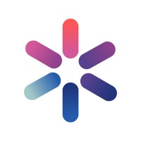 Introdus logo - Similar company to Peaky