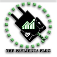 The Payments Plug LLC