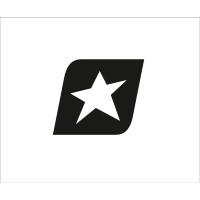 Northstar Precision Vietnam and Polaris Vietnam logo - Similar company to Vpic1 - Vietnam Precision Industry Company No.1