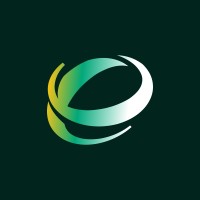 Enity logo - Similar company to Dimensim