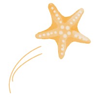 Star Thrower Communication logo - Similar company to Intedao