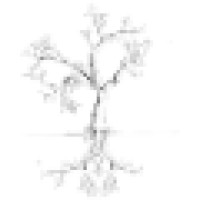 David Finn logo - Similar company to Fitillion