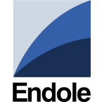 Endole Business Information logo - Similar company to Betheboss.Ca