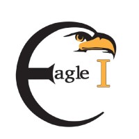 Eagle I Constultancy & Tech PLC logo - Similar company to Safe Square Pte. Ltd.