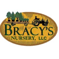 Bracy's Nursery logo - Similar company to Easy Plants, Llc