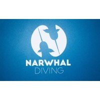 Narwhal Diving Human Skills Training logo - Similar company to Narwhal Water