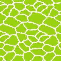 La Girafe Verte