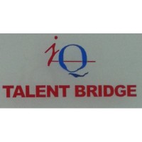 Talent Bridge Executive Search China logo - Similar company to Talent Group
