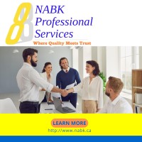 NABK Professional Services logo - Similar company to Big Rose Bookkeeping