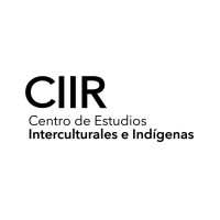 Centro de Estudios Interculturales e Indígenas logo - Similar company to Andespeat