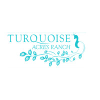 Turquoise Acres Ranch logo - Similar company to Forest Play