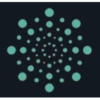 Paica Technologies logo - Similar company to Streben Analytics