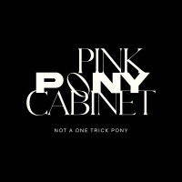Pink Pony Cabinet logo - Similar company to Pink Pony Express