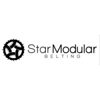 STAR MODULAR BELTING LTD logo - Similar company to Sejone Beltech