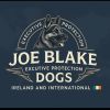 Joe Blake Executive Protection Dogs logo - Similar company to 1Bq Limerick