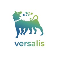 Versalis logo - Similar company to Lamberti