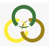 Triple C Advisory logo - Similar company to Rt Films