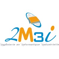 2M3i logo - Similar company to Targets Mdpi