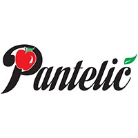 Pantelic Ltd logo - Similar company to Stanić