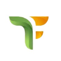 Tecnofind ES logo - Similar company to Consilium Group Advisors