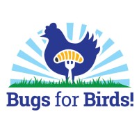 Bugs For Birds