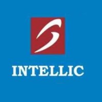 Intellic Systems logo - Similar company to Cloudzen Technology Services