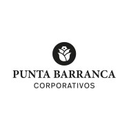 Punta Barranca logo - Similar company to Equilibra