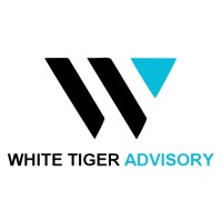White Tiger Advisory logo - Similar company to Accounstring Management Private Limited
