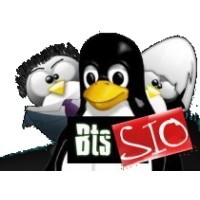 BTS SIO REIMS logo - Similar company to Performdata