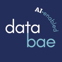 Databae logo - Similar company to Datavise
