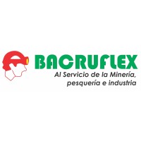 BACRUFLEX- SATISFACIENDO NECESIDADES DE DIFERENTES INDUSTRIAS logo - Similar company to Rubbsoflex
