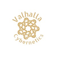 Valhalla Cybernetics logo - Similar company to Lifetide