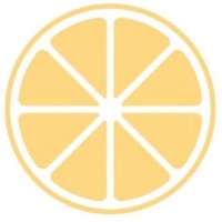 Limonian logo - Similar company to Daçe Studio™
