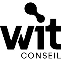 Wise IT Conseil logo - Similar company to Levup