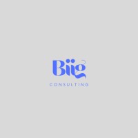 Biig Consulting logo - Similar company to Scrum Educational Experience