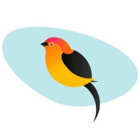 PIPRA Solutions logo - Similar company to Cognogen Private Ltd
