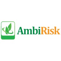 Ambirisk Research & Management Consulting India Pvt. Ltd logo - Similar company to Global Environment & Mining Services
