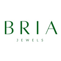 Bria Jewels logo - Similar company to Dk Media Group