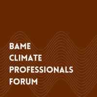 BAME Climate Professionals Forum logo - Similar company to Pride In Energy